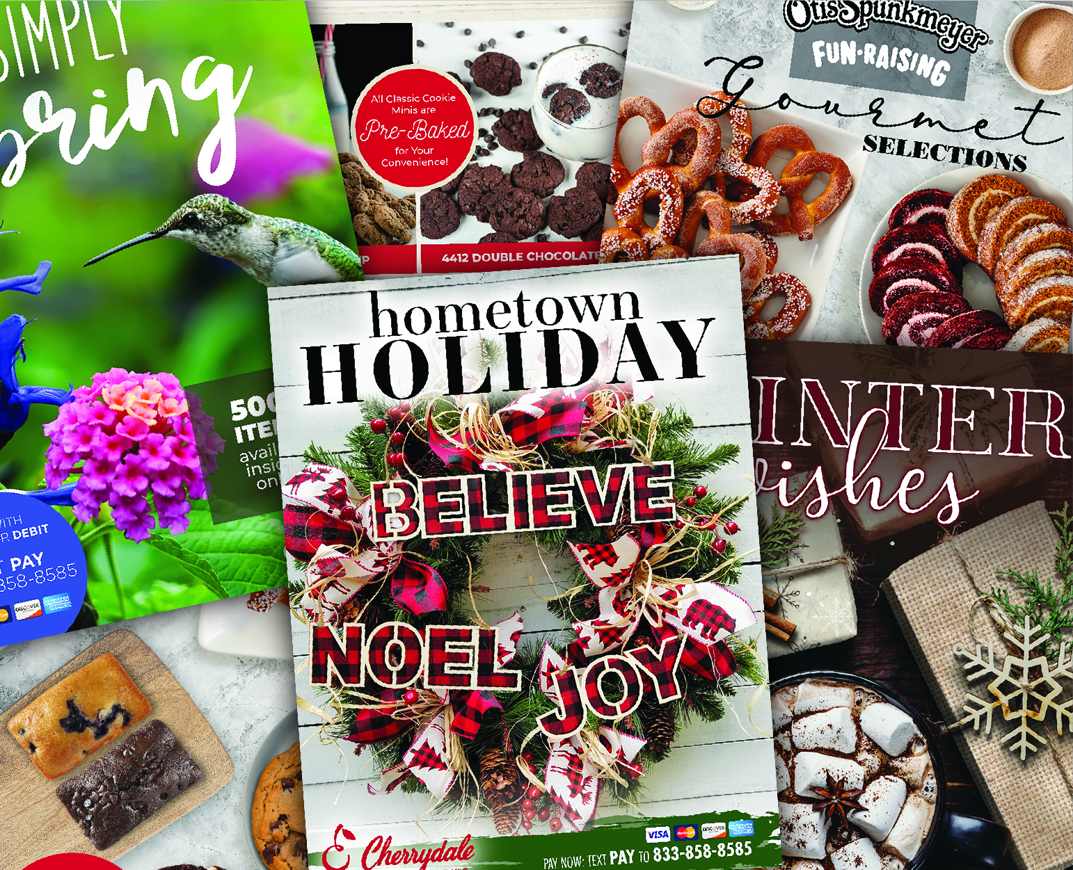 Cherrydale > Fundraisers